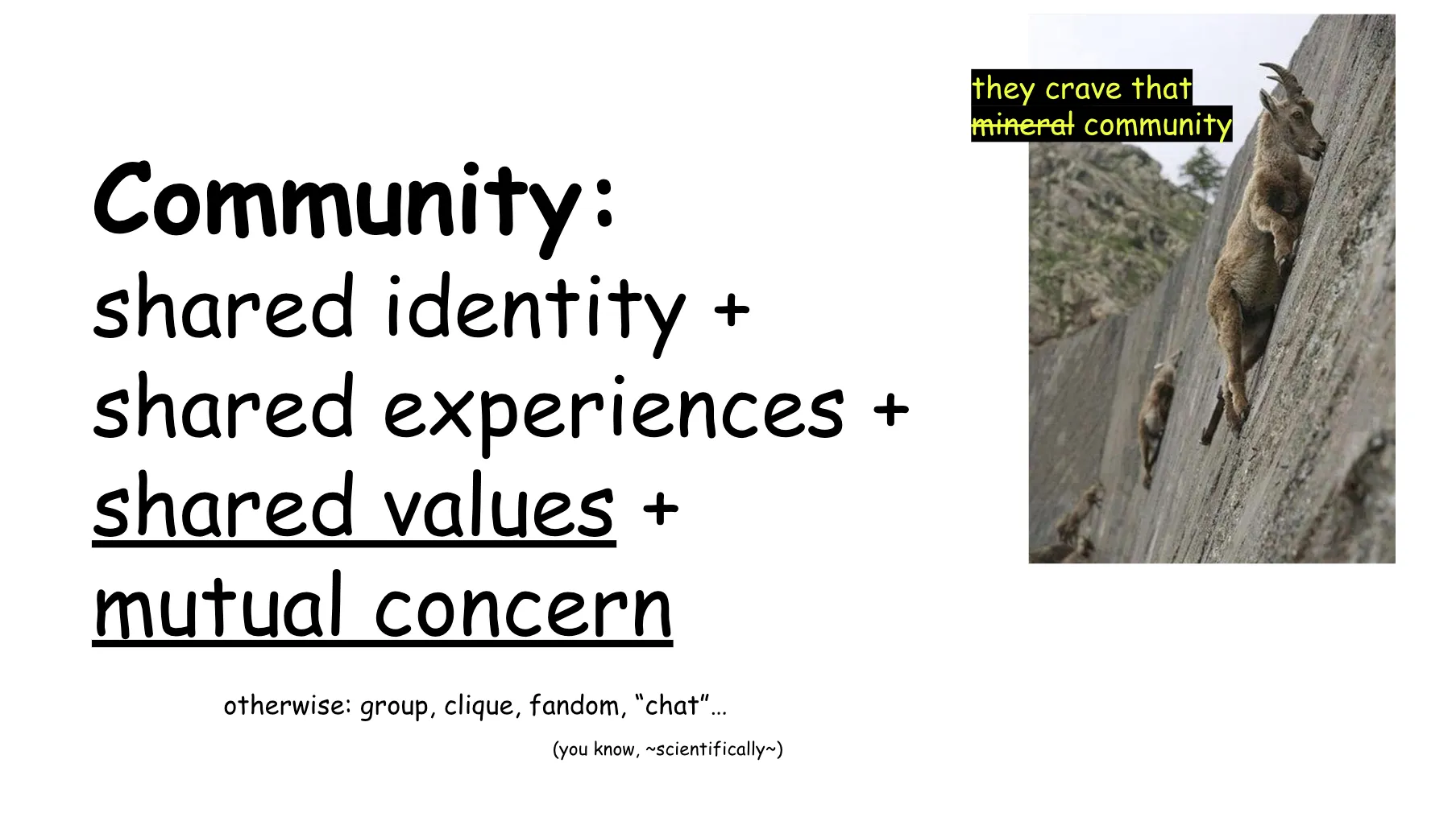 Slide 10. Community: shared identity + shared experiences + shared values + mutual concern. Otherwise: group, clique, fandom, chat, (you know, ~scientifically~). To the right side, a photo of mountain goats somehow managing to scale a very, very steep cliffside, known as They crave that mineral. In this case, mineral is crossed out, so it now reads They crave that community.
